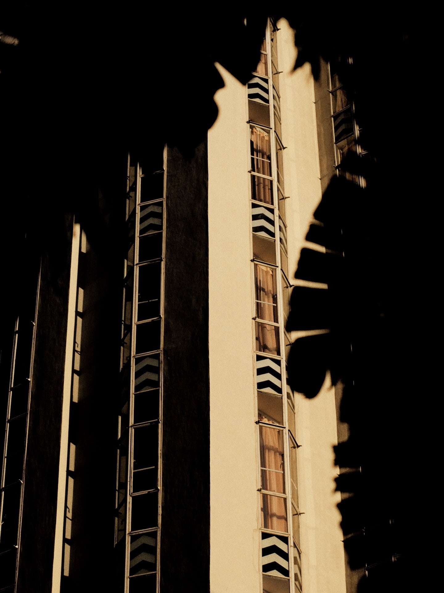Sunset Tower Palm