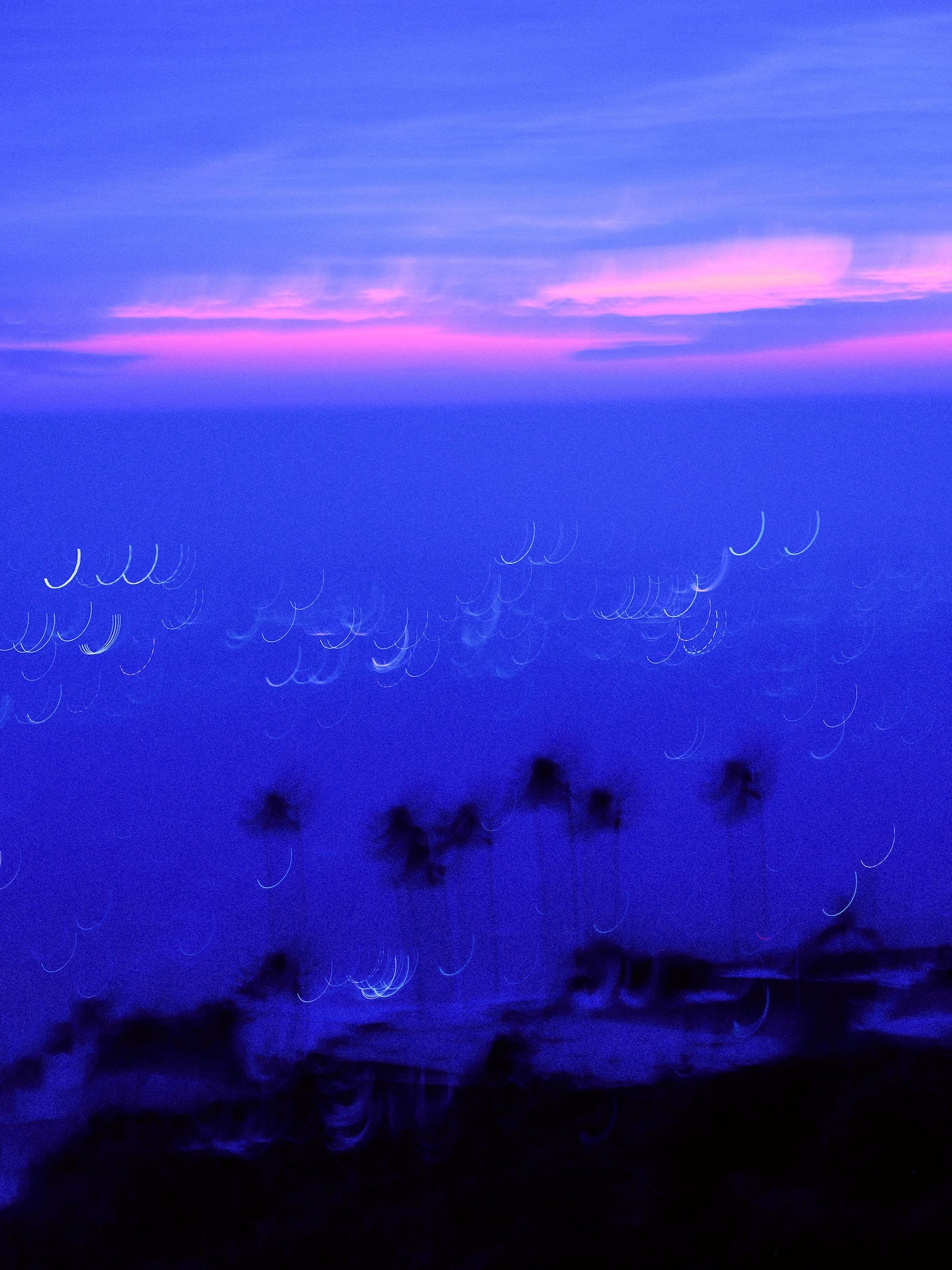 Blue Palms